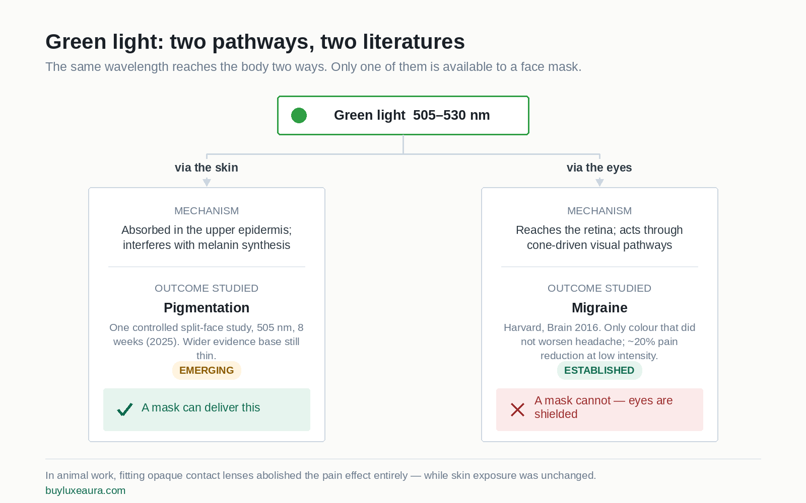 Green light reaches skin and eyes by two different pathways, only one of which a face mask can use