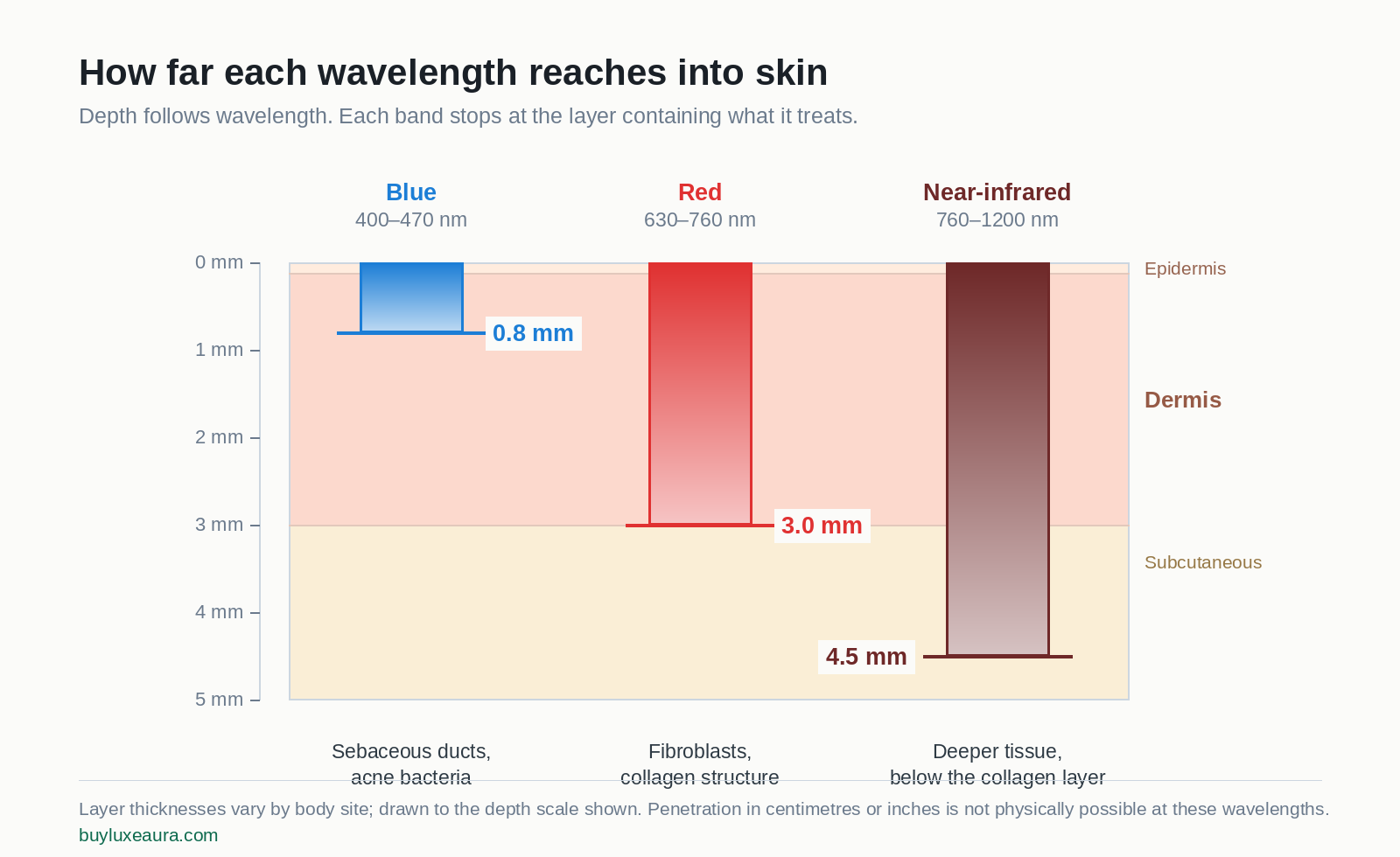 Penetration depth of blue, red and near-infrared light in skin, shown in millimetres